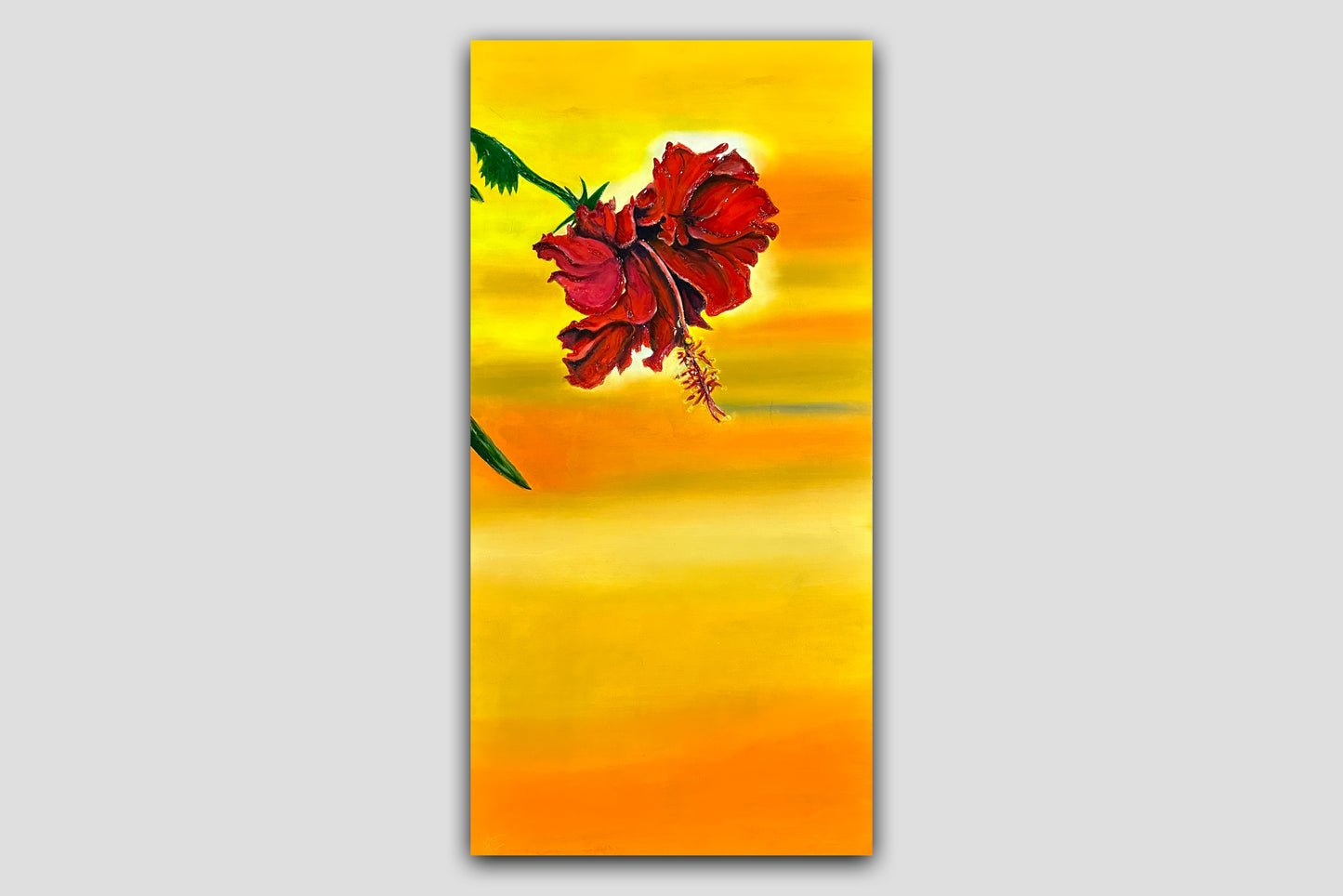 Peaceful Rose