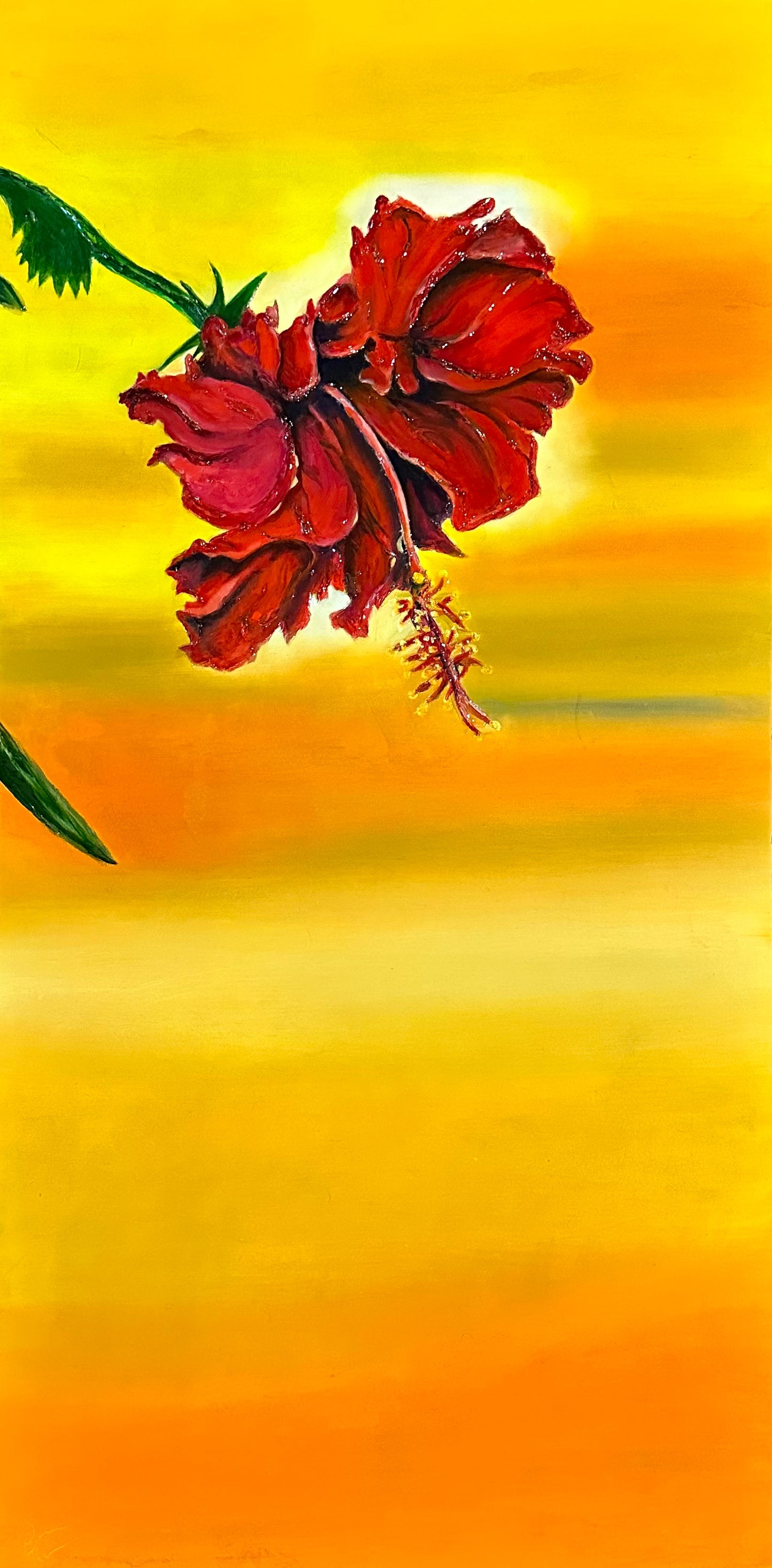 Peaceful Rose