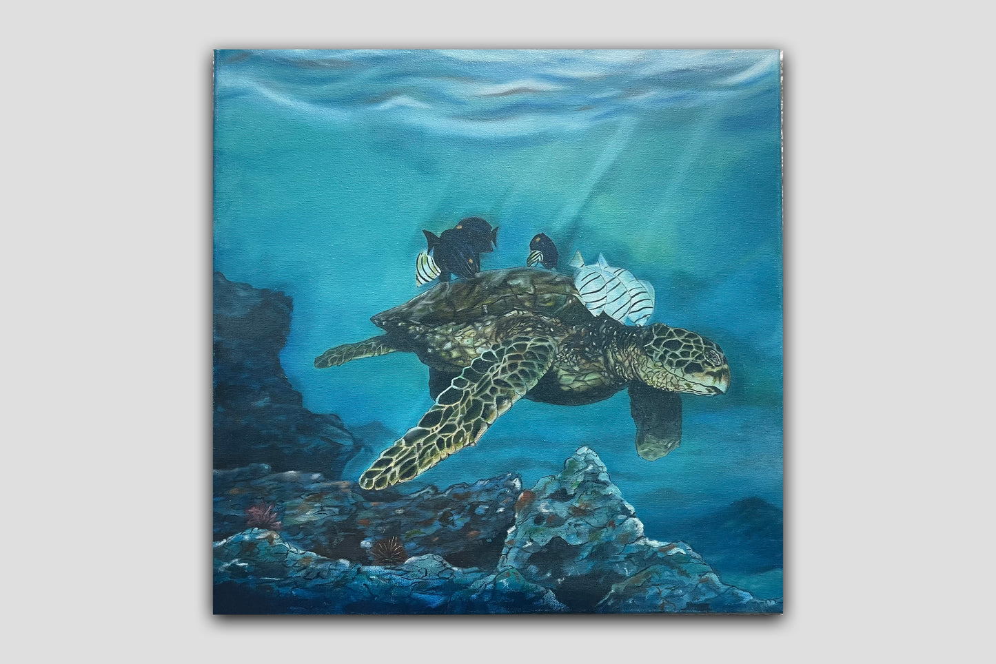 "Sea Life